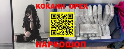 крисы Бийск