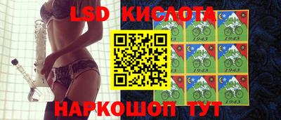 крисы Бийск