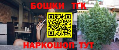 крисы Бийск