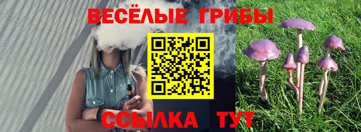 Псилоцибиновые грибы Magic Shrooms Керчь